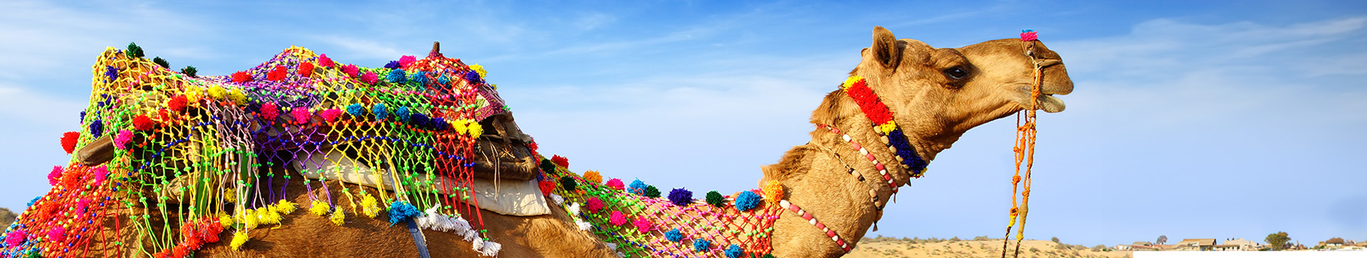 ALL OF RAJASTHAN